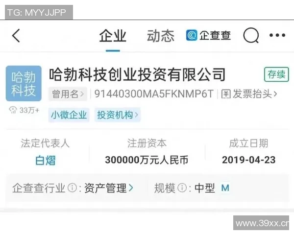 字母公司展现强大竞争力正在全力证明自身实力的最佳时机 字母公司展现强大竞争力正在全力证明自身实力的最佳时机